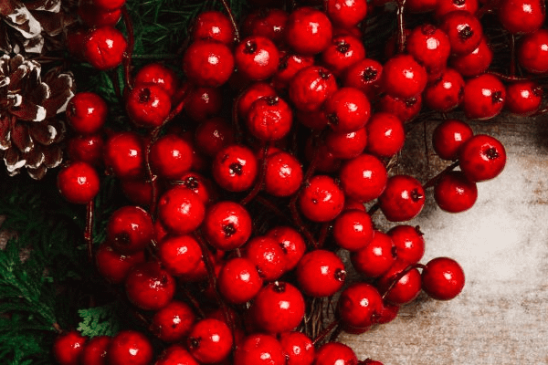 obstetrician near me